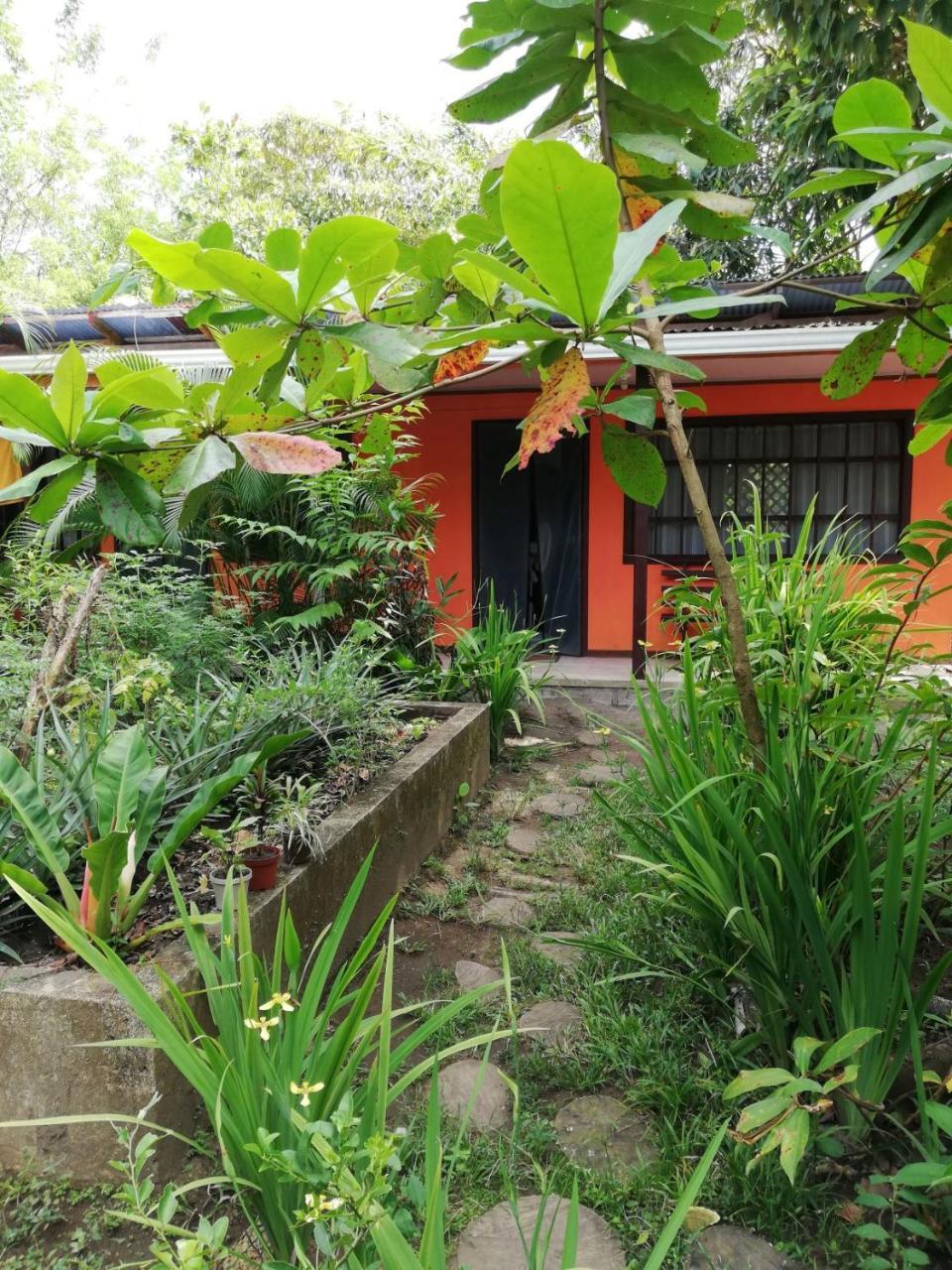 Aracari Garden Hostel Tortuguero Eksteriør bilde