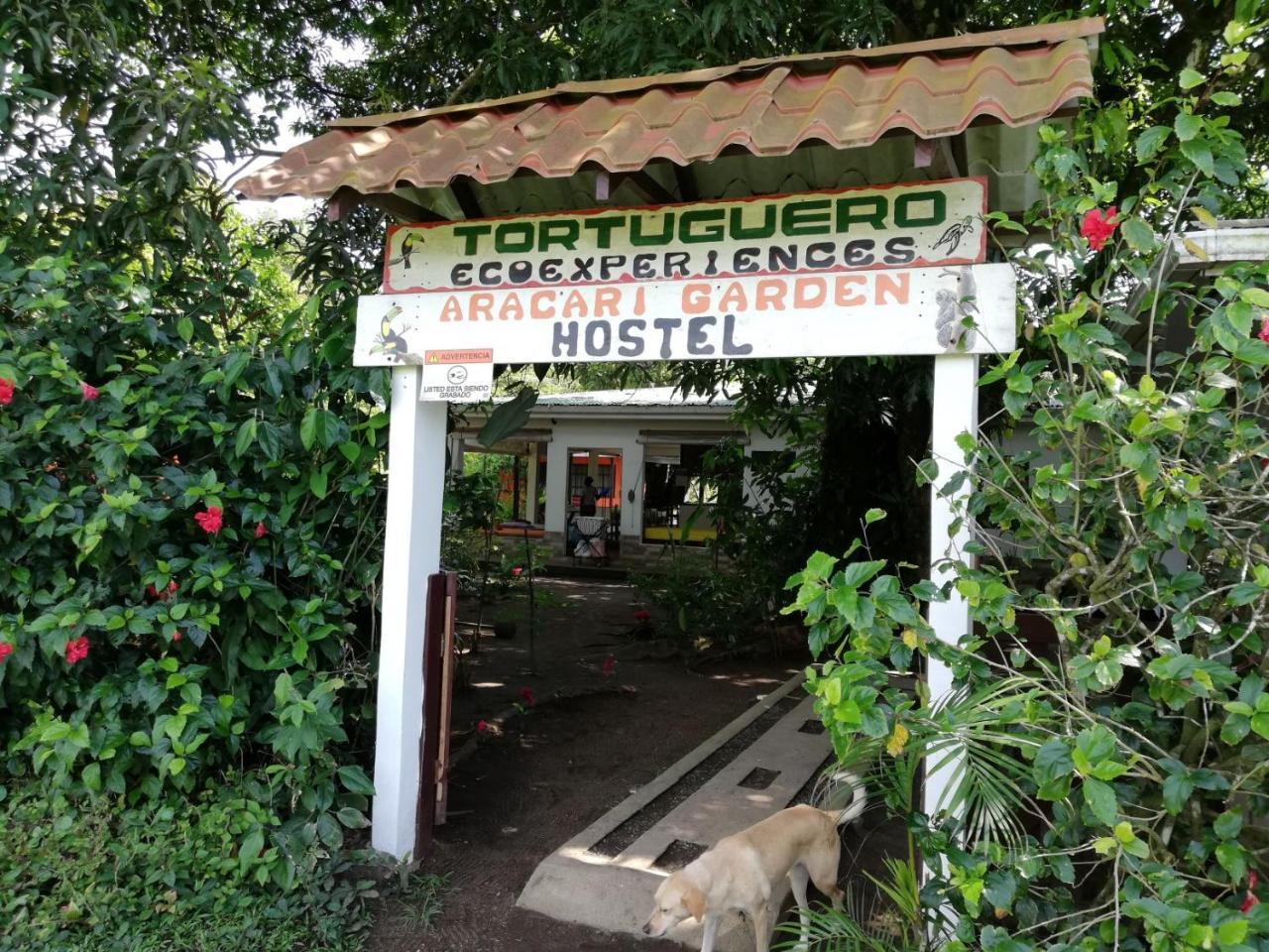 Aracari Garden Hostel Tortuguero Eksteriør bilde