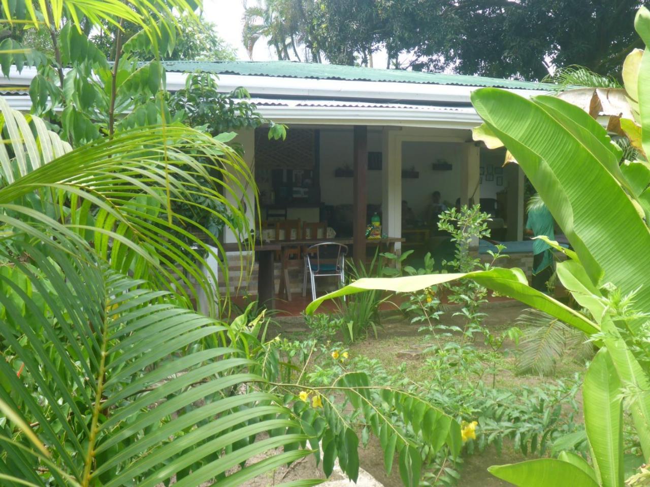 Aracari Garden Hostel Tortuguero Eksteriør bilde