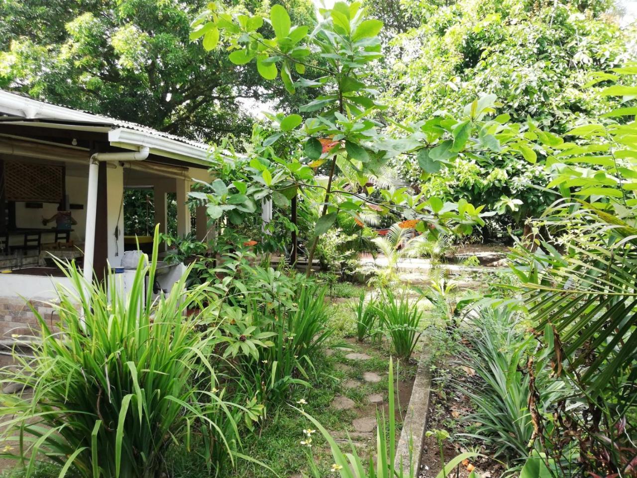 Aracari Garden Hostel Tortuguero Eksteriør bilde