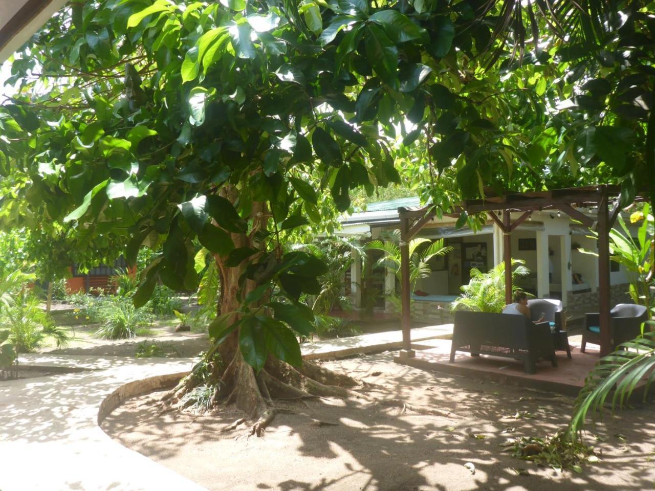 Aracari Garden Hostel Tortuguero Eksteriør bilde