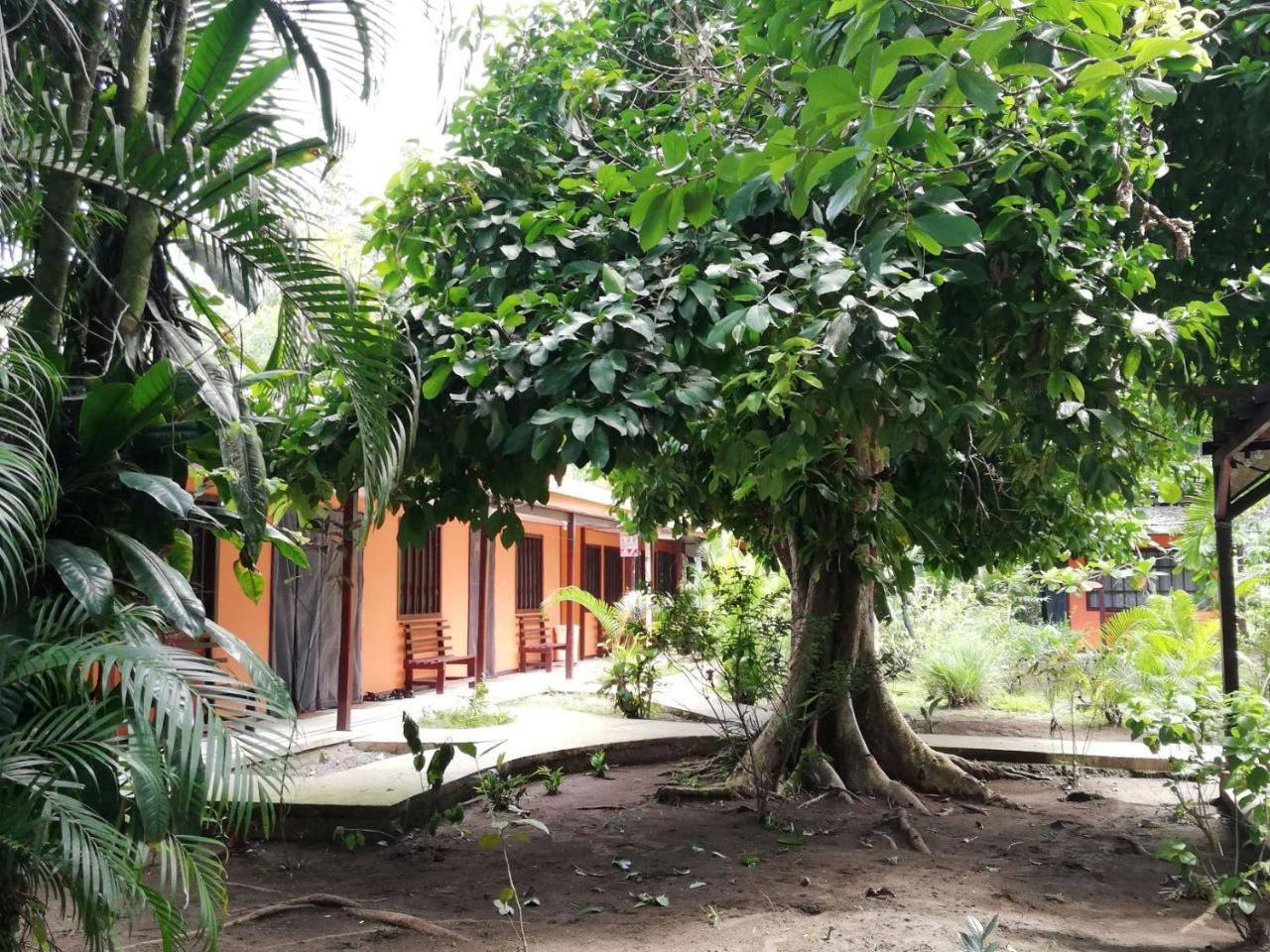 Aracari Garden Hostel Tortuguero Eksteriør bilde