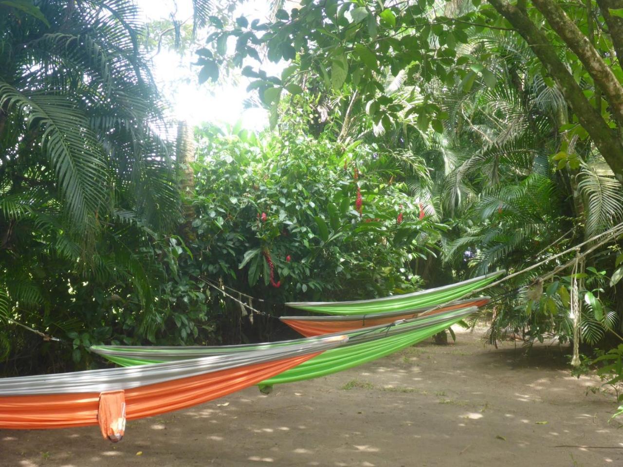 Aracari Garden Hostel Tortuguero Eksteriør bilde